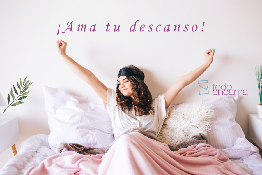 Blog todo en cama